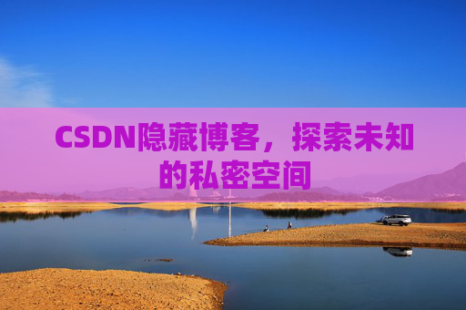 CSDN隐藏博客，探索未知的私密空间